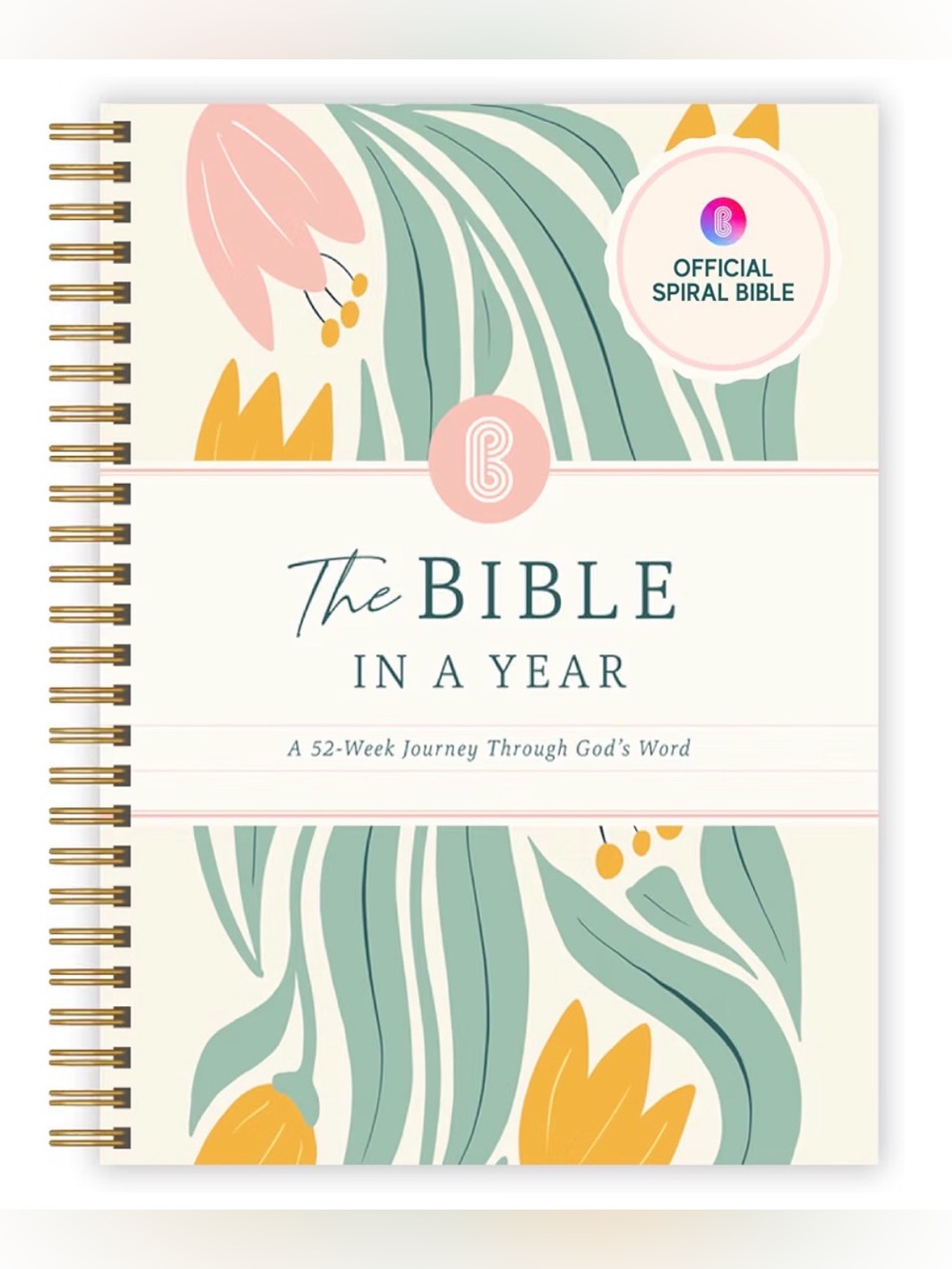 52-Week Guided Reading Plan, Daily Devotional & Bible Study Journal 8.5x11